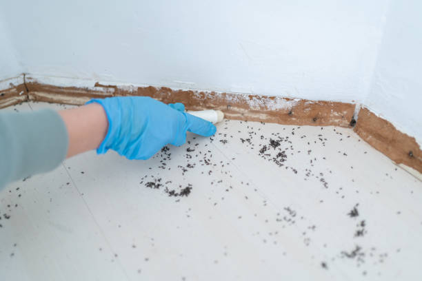 Best Commercial Pest Control Services  in USA